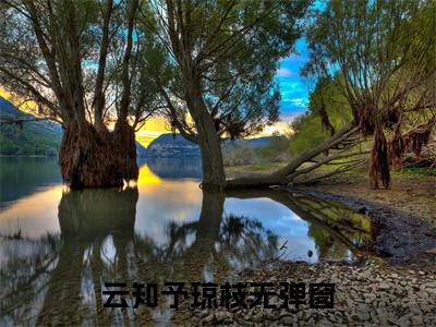 (番外)+(全文)云知予琼枝后续+番外小说免费下载阅读云知予琼枝后续+番外小说最新章节列表_笔趣阁（云知予琼枝后续+番外）
