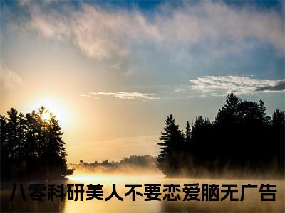 傅柏杨沈知秋：结局+番外免费品鉴(八零科研美人不要恋爱脑)全书在线无广告高口碑小说