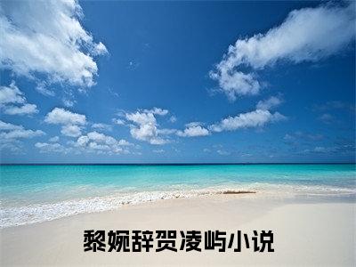 又风又雪又见月小说完本(又风又雪又见月)（黎婉辞贺凌屿）前传+整本阅读全新作品预订