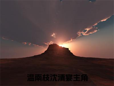 烟火照夜白小说(温南枝沈清宴)全本完整阅读最新章节（烟火照夜白）_笔趣阁