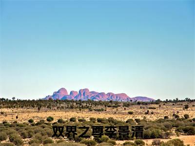 双界之尊李景清后续（双界之尊李景清）全文在线下载在线+纯净版结局