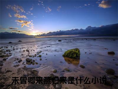 （沈宜修苏云倾）未曾卿来燕归来：+番外+后续起点章节+阅读即将发布预订