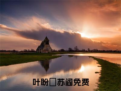 叶盼汣苏阎（叶盼汣苏阎全文免费）小说+免费下载阅读_（叶盼汣苏阎）最新章节列表（叶盼汣苏阎后续）