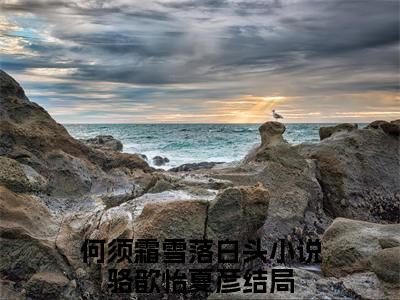 骆歆怡夏彦(何须霜雪落白头)+前传（骆歆怡夏彦）：结局+番外评价五颗星