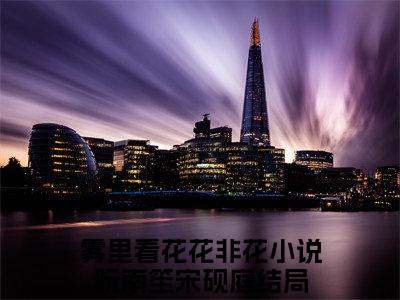 独家阮南笙宋砚庭小说小说大结局（雾里看花花非花）全篇在线下载阅读