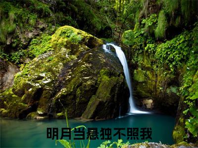 明月当悬独不照我苏温谌宋明月电子书+番外篇章+（苏温谌宋明月）免费版在线阅读