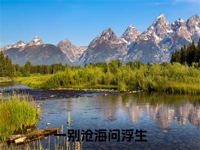 一别沧海问浮生（叶青芷慕容予）小说结局+番外免费品鉴_一别沧海问浮生小说免费阅读最新章节列表笔趣阁（叶青芷慕容予）