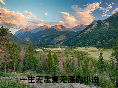 林辞裴启承：结局+番外（一生无念复无涯）全文免费无弹窗大结局_(一生无念复无涯免费林辞裴启承：结局+番外读全文大结局)最新章节列表_笔趣阁林辞裴启承：结局+番外