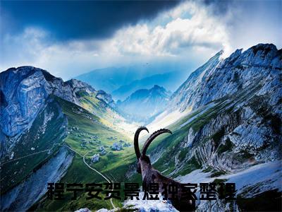 程宁安贺景煜(程宁安贺景煜)精彩热门小说_(程宁安贺景煜免费阅读全文大结局)最新章节列表_笔趣阁