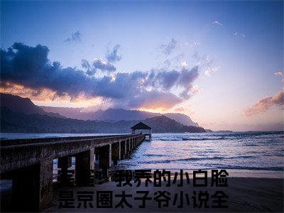 薄靳修姜辞忧（完蛋！我养的小白脸是京圈太子爷）小说全文免费阅读无弹窗_（完蛋！我养的小白脸是京圈太子爷全文阅读）薄靳修姜辞忧免费阅读大结局
