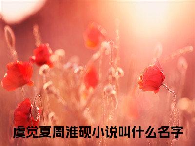 小说虞觉夏周淮砚全文免费阅读无弹窗大结局-虞觉夏周淮砚在线阅读