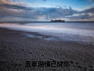 沈墨尘陆芷晴小说全文免费阅读（五年深情已成灰）全文免费阅读无弹窗大结局