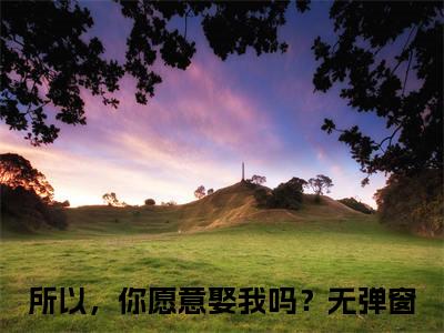 宋矜煜苏南栖：全文+后续(所以，你愿意娶我吗？)全文所以，你愿意娶我吗？阅读无弹窗结局_所以，你愿意娶我吗？+结局最新章节列表_笔趣阁（宋矜煜苏南栖：全文+后续）