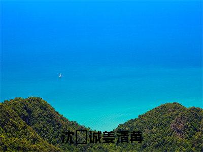 (番外)+(结局)沈璟诚姜清苒：结局+番外（他与骄阳皆过客）全文免费阅读无弹窗大结局_(他与骄阳皆过客：结局+番外)最新章节列表_笔趣阁（他与骄阳皆过客）