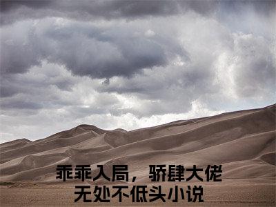 (番外)+(结局)姜郁贺敛（姜郁贺敛：结局+后续）全文免费阅读无弹窗大结局_(姜郁贺敛)最新章节列表_笔趣阁（姜郁贺敛：结局+后续）