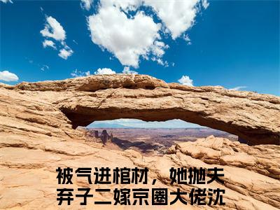 完结篇小说被气进棺材，她抛夫弃子二嫁京圈大佬小说(沈暧)已更新+无删减（被气进棺材，她抛夫弃子二嫁京圈大佬）无广告