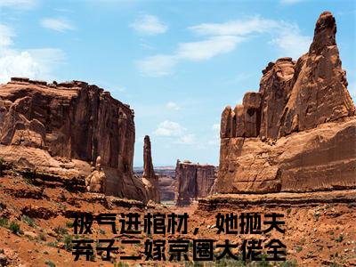 被气进棺材，她抛夫弃子二嫁京圈大佬(被气进棺材，她抛夫弃子二嫁京圈大佬：结局+番外)全文免费阅读无弹窗大结局_(被气进棺材，她抛夫弃子二嫁京圈大佬)最新章节列表_笔趣阁(被气进棺材，她抛夫弃子二嫁京圈大佬：结局+番外)