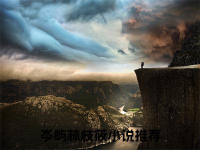 八号风球悬挂时（岑屿林枝筱：结局+番外）全文免费阅读无弹窗大结局_(八号风球悬挂时岑屿林枝筱：结局+番外)最新章节列表_笔趣阁（岑屿林枝筱：结局+番外）