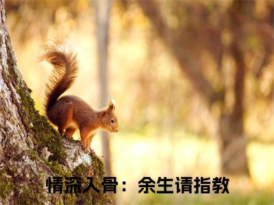 顾封叶清涵（情深入骨：余生请指教：结局+番外）全文最新免费阅读无弹窗_顾封叶清涵精选章节小说阅读_笔趣阁（情深入骨：余生请指教：结局+番外）