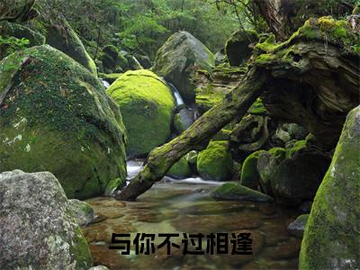 陆子玉律心（与你不过相逢）全文免费阅读无弹窗大结局_陆子玉律心全文阅读完整版_笔趣阁（与你不过相逢）