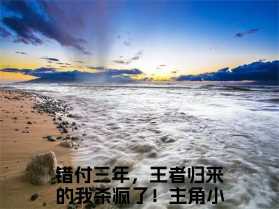 薛洋小说(错付三年，王者归来的我杀疯了！)（薛洋）完整章节列表_笔趣阁