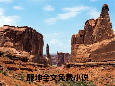 靓坤小说全文免费阅读无弹窗大结局_（靓坤）旺角风云最新章节列表笔趣阁