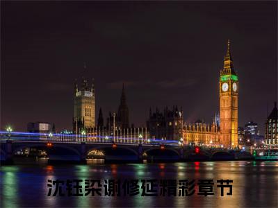 如今自己在这个家里没有半点归属感（沈钰染谢修延/如今自己在这个家里没有半点归属感：结局+番外）全文免费阅读无弹窗大结局_(沈钰染谢修延)最新章节列表_笔趣阁（如今自己在这个家里没有半点归属感/沈钰染谢修延：结局+番外）