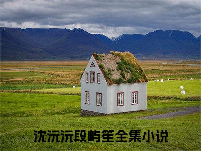 (番外)+(结局)沈沅沅段屿笙（不过是风月）完整全文在线阅读_(沈沅沅段屿笙)最新章节列表_笔趣阁（不过是风月）