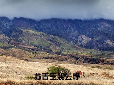 (番外)+(全文)苏青玉裴云峥：大结局+番外（朝如青丝暮成雪）完结阅读无弹窗大结局_(朝如青丝暮成雪)最新章节列表_笔趣阁（苏青玉裴云峥：大结局+番外）