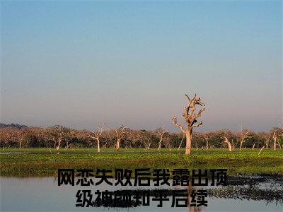 沈晚芙徐闻洲是什么小说(网恋失败后我露出顶级神颜)（沈晚芙徐闻洲）全本完整清爽版在线+无广告结局
