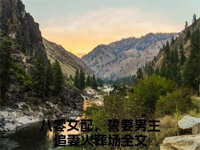沈静姝徐晏礼：全文+番外（沈静姝徐晏礼：全文+番外）全文免费阅读无弹窗大结局_沈静姝徐晏礼：全文+番外（八零女配，誓要男主追妻火葬场）最新章节列表_笔趣阁（八零女配，誓要男主追妻火葬场）