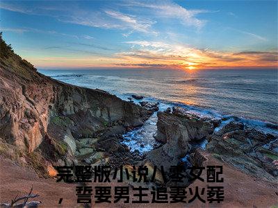 八零女配，誓要男主追妻火葬场（沈静姝徐晏礼）小说在线阅读_八零女配，誓要男主追妻火葬场全本免费小说阅读大结局（沈静姝徐晏礼）