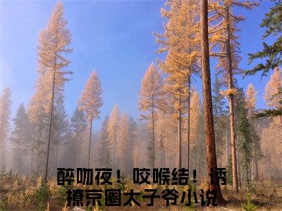 醉吻夜！咬喉结！诱撩京圈太子爷最新章节（薄宴封时穗月）全文免费阅读无弹窗大结局_醉吻夜！咬喉结！诱撩京圈太子爷免费阅读（薄宴封时穗月）