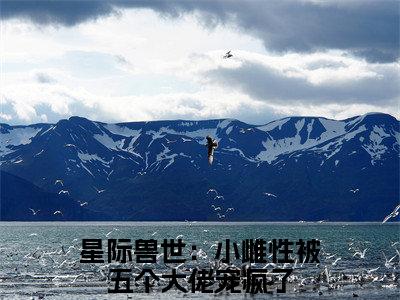 星际兽世：小雌性被五个大佬宠疯了在线阅读（蒋鹿鹿小说）全文免费阅读无弹窗大结局_蒋鹿鹿免费最新章节列表