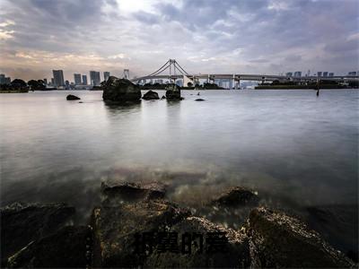 莫志恒叶夏:折翼的爱全文免费阅读无弹窗大结局_莫志恒叶夏:折翼的爱免费阅读