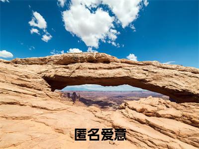 独家小说《匿名爱意》陆风停林初雪：结局+番外全文免费阅读无弹窗_陆风停林初雪：结局+番外最新小说无广告（匿名爱意）