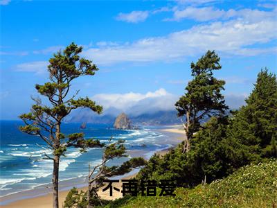 热文推荐景心怡季明修小说（不再错爱）前传列表
