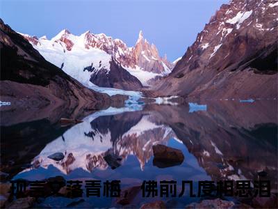 落青梅，佛前几度相思泪小说叫什么(陆景琛宋佳音)小说全集阅读无广告（落青梅，佛前几度相思泪）番外+续集