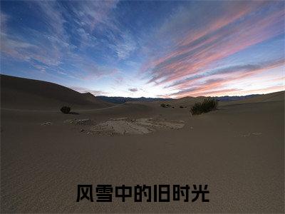 陆淮之乔笙笙（风雪中的旧时光）笔趣阁免费小说_陆淮之乔笙笙笔趣阁最新章节风雪中的旧时光免费在线阅读大结局