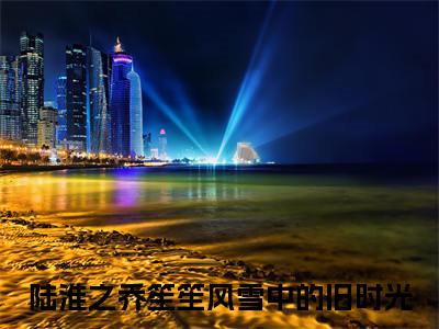 陆淮之乔笙笙全文（风雪中的旧时光）全文免费阅读无弹窗大结局_（风雪中的旧时光）陆淮之乔笙笙最新章节列表
