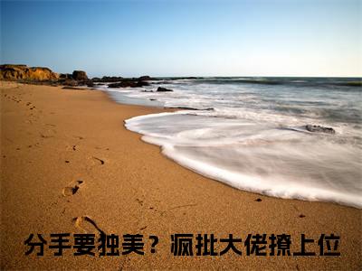 安映傅呈礼在线阅读（分手要独美？疯批大佬撩上位）全文免费阅读无弹窗大结局_分手要独美？疯批大佬撩上位最新章节列表笔趣阁（安映傅呈礼）