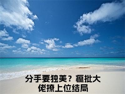 安映傅呈礼分手要独美？疯批大佬撩上位续集免费一读到底全程无广大结局_（安映傅呈礼后续+完结）分手要独美？疯批大佬撩上位：畅读无广+实时更新独家渠道（安映傅呈礼）