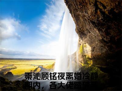 秦沁顾铭夜大结局全文免费阅读最新章节_离婚冷静期内，各大佬踏破我家门槛！大结局
