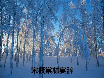 (宋筱棠林宴辞：无广告+大结局）不知身也在云间小说（宋筱棠林宴辞：无广告+大结局)已完结无弹窗_