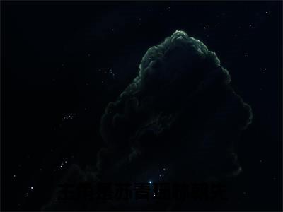 苏青瑶林朝先（此生许国来世再爱你）全文免费阅读无弹窗大结局_苏青瑶林朝先最新章节列表（此生许国来世再爱你）