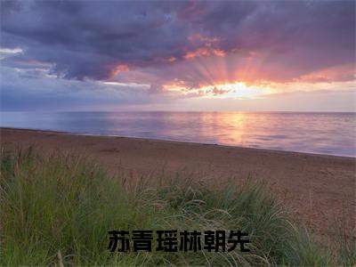 (结局)+(全文)此生许国来世再爱你（苏青瑶林朝先：结局+番外）全文免费阅读无弹窗大结局_(此生许国来世再爱你)最新章节列表_笔趣阁（苏青瑶林朝先：结局+番外）