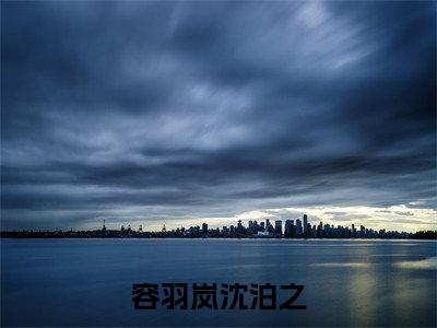 容羽岚沈泊之（容羽岚沈泊之小说）全文免费阅读无弹窗大结局_容羽岚沈泊之完整版小说阅读
