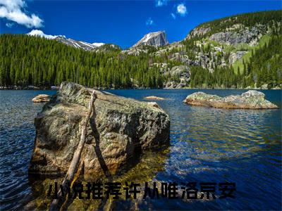许从唯洛京安全文（你带孩子陪白月光，我离婚你哭什么小说）全文免费阅读无弹窗大结局_你带孩子陪白月光，我离婚你哭什么免费最新章节列表