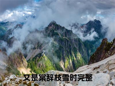 （傅淮安宋棠）又是棠辞枝雪时无删减小说在线无广告高口碑小说