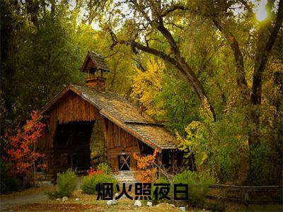 温南枝沈清宴小说（烟火照夜白）TXT无套路在线+无广告结局